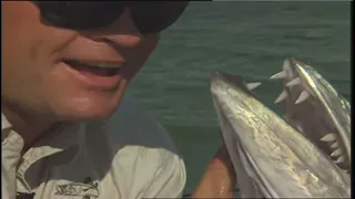 Barracuda Fishing Florida Keys Flats in Key West Wintertime