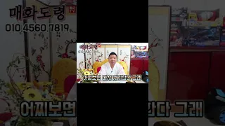 PSY 싸이 사주 용군TV 매화도령