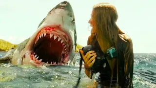 Great White Shark Attacks Scene | Nancy | Surfing | The Shallows (2016) | Movie Clip[4K ULTRA HD]