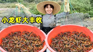 Fisherman said that he had never eaten big lobster and made two dragon seafood dinners. The taste w