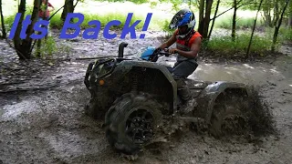 The 2023 Honda Rubicon is awesome! *MUDDING MADNESS!*