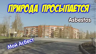 28 апреля 2024 Асбест.Вербное воскресенье.Природа просыпается.Ещё одно строительство.