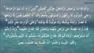 Surah 2: Al Baqarah (The Cow) سورة البقرة Verses 225 - 248