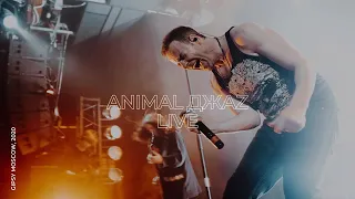 Animal Джаz - Апрель ( альбом Время любить 2019)/ Москва