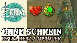 EXTRA HERZ- / AUSDAUER CONTAINER BEKOMMEN I Ohne Schreinrätsel I Zelda: Tears of the Kingdom Deutsch