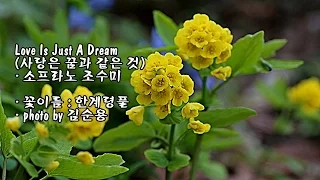 Love Is Just A Dream (사랑은 꿈과 같은 것)/소프라노 조수미 & photo by 김순용