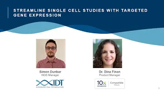 Streamline Single Cell Studies with Targeted Gene Expression