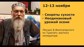 Бронислав Виногродский: лекция  «Секреты сухости» | Китайская традиционная медицина