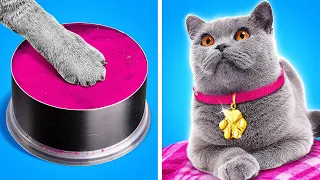 Makeover of Homeless Cat 🐱Gadgets and Hacks for Pets