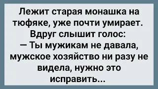 Монашка Никогда Не Видела Мужское Хозяйство! Сборник Свежих Анекдотов! Юмор!