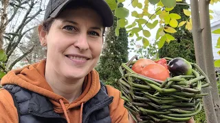 Easy Blackberry Vine Basket