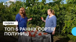 Який сорт полуниці обрати?