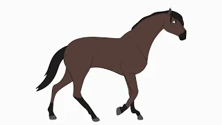 Pferde Animation 🐴| Horse Animation (Walk cycle)