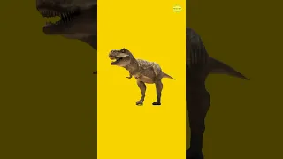 Tidak Hanya Tangannya, Kenapa Mata T-Rex Kecil? #viral #dinosaurus #trex #tyrannosaurusrex #shorts