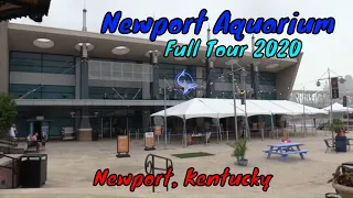 Newport Aquarium Full Tour -  Newport, Kentucky