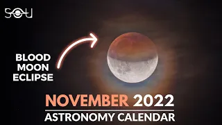 Don't Miss These Astronomy Events In November 2022 | Meteor Shower | Lunar Eclipse | Blood Moon