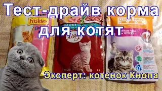 Корм для котят: тест-драйв. Влажный и сухой корм. Чем кормить котенка?