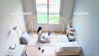 Неспешные домашние будни в Корее 🏠, библиотека, прогулки в парке