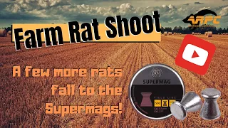 A Few More Rats Fall To The Supermags - Air Rifle Pest Control