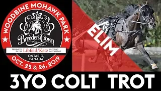 2019 Breeders Crown Elim - Don't Let'Em - 3YO Colt Trot