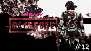 Days Gone - PS4 Live Stream #12