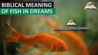 Biblical Meaning of FISH in Dream - Mark 1:17 Prophetic Meaning of Fish