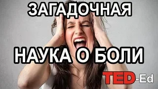 Загадочная наука о боли / Ted-Ed на русском языке