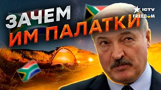 Вагнера в БЕЛАРУСИ готовят поход на... Что СКРЫВАЕТ ЛУКАШЕНКО