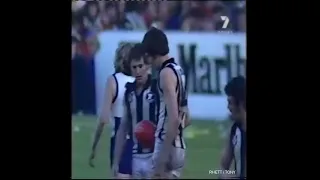 RARE: Mike Williamson on 3DB radio calling the Twiggy Dunne goal in 1977 Drawn Grand Final