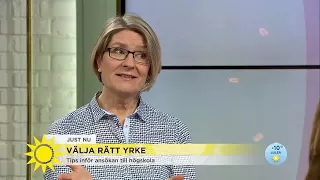 Vilken utbildning ska man välja? - Nyhetsmorgon (TV4)