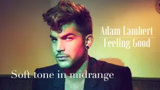 Adam Lambert - Feeling Good