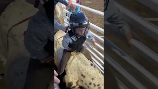 Rodeo time! Second ride for this cowboy! He’s learning the way. #rodeo #bullriders #cowboy#ride