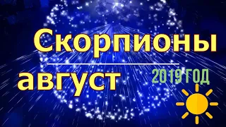 Скорпион август 2019 год