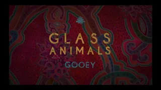 Gooey 1 Hour Glass Animals