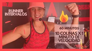 TROTADORA O CINTA a quemar 999Kcal  para bajar de peso con Susana Conroy