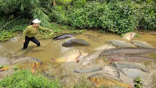 Use the pump to suck water out of the lake and catch many big fish.