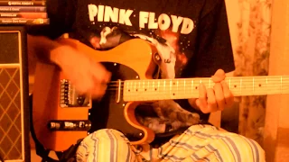 Nirvana In bloom Nirvan cover