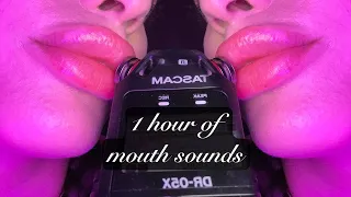 INSANE TASCAM MOUTH SOUNDS