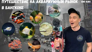 ПУТЕШЕСТВИЕ НА АКВАРИУМНЫЙ РЫНОК ЧАТУЧАК В БАНГКОКЕ | AQUARIUM MARKET CHATUCHAK IN BANGKOK