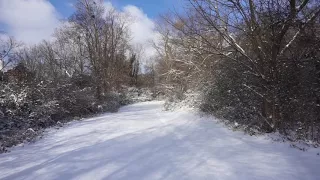 Snowfall Bowling Green KY 01/13/2018 (2)