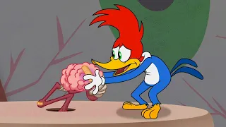 ¡Woody vs su cerebro! | El Pájaro Loco