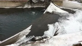 Садки , выращивание рыбы в пруду. Зимовка.