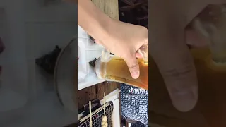 小田原お魚センター