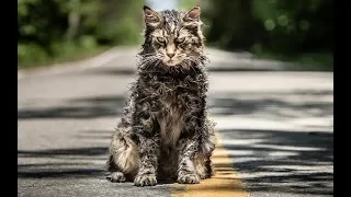 Кладбище Домашних Животных – Русский Трейлер  2019   |  Pet Sematary