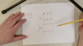 Genetics: L9-A, Linkage: Single Crossovers and Double Crossovers (Recommend 1.5x Speed)