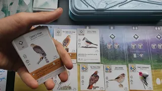 Should you buy Wingspan? 3 minute review / overview!