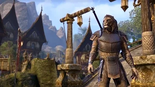 This is Elder Scrolls Online: Tamriel Unlimited – Freedom and Choice in Tamriel