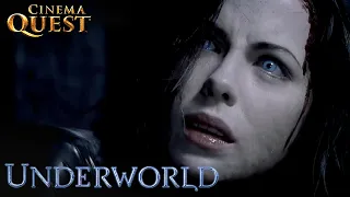 Underworld | The Ultimate Hybrid Battle (ft.Kate Beckinsale) | Cinema Quest