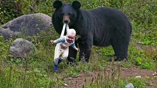 The Incredible Moment a Bear Risked Its Life to Bring a Baby to People