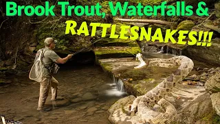 Fly Fishing Pennsylvania Wilds - Native Brookies, Waterfalls and Timber Rattle Snakes!!